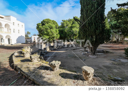 チュニジア カルタゴ遺跡 ビュルサの丘 チュニジア カルタゴ遺跡 ビュルサの丘 138858092