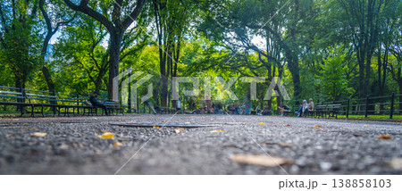 Famous Literary Walk in Central Park seen from the ground Famous Literary Walk in Central Park seen from the ground 138858103