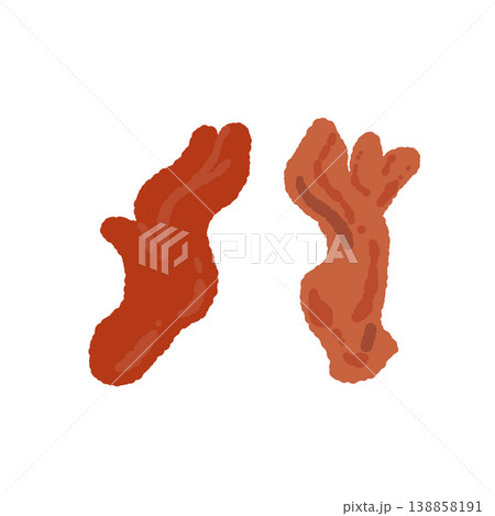2本のカエンダケ（ペア）の手描きイラスト素材 138858191