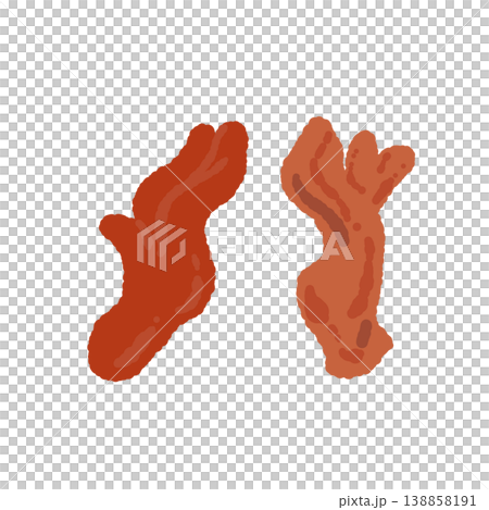2本のカエンダケ（ペア）の手描きイラスト素材 138858191