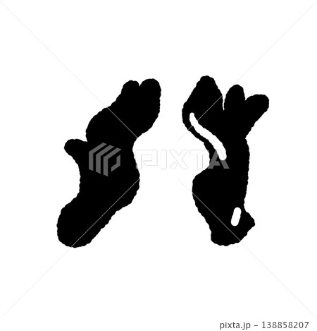 2本のカエンダケ（ペア）のモノクロ手描きイラスト素材 138858207