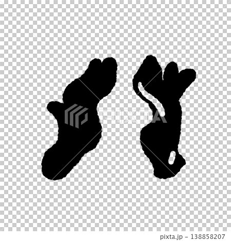 2本のカエンダケ（ペア）のモノクロ手描きイラスト素材 138858207