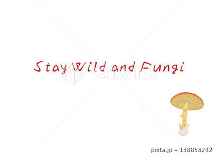 タマゴタケ（小さめ）の手描きイラスト入り横型メニュー・カードテンプレート 138858232