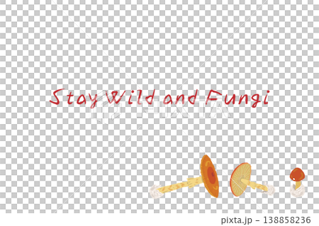 橫向菜單/卡片模板,上面有多個側放的鵝膏菌。 橫向菜單/卡片模板,上面有多個側放的鵝膏菌。 138858236