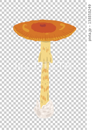 タマゴタケ（大）の手描きイラスト入り縦型メニュー・カードテンプレート 138858249