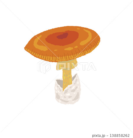 タマゴタケ（単体・平たい傘）の手描きイラスト素材 138858262