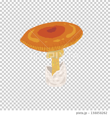 タマゴタケ（単体・平たい傘）の手描きイラスト素材 138858262