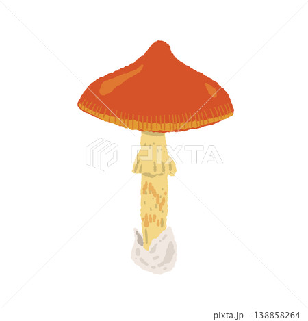 タマゴタケ（単体・丸い傘）の手描きイラスト素材 138858264