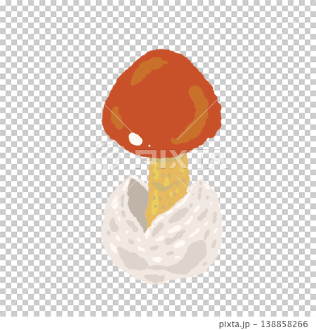 手繪的凱撒鵝膏菌（單一蘑菇，處於生長初期）插圖 138858266