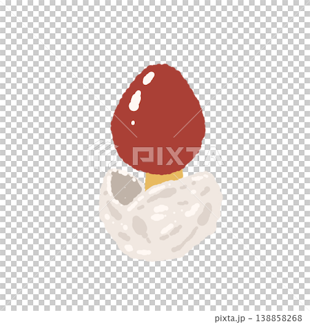 タマゴタケ（単体・幼菌・赤色）の手描きイラスト素材 138858268