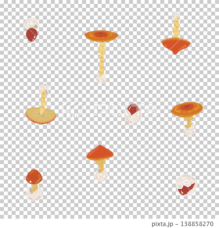 手繪的凱撒利亞鵝膏菌插圖素材（散佈排列） 138858270