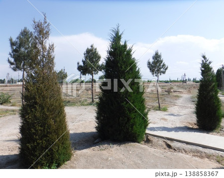 ウズベキスタンの空き地 138858367