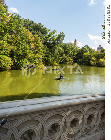 Famous Bow Bridge in Central Park Famous Bow Bridge in Central Park 138858381
