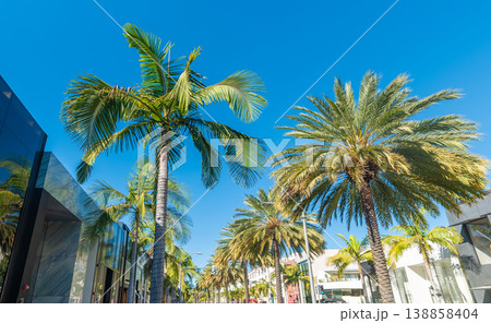 Palm trees and luxury stores in world famous Rodeo Drive in Beverly Hills 138858404