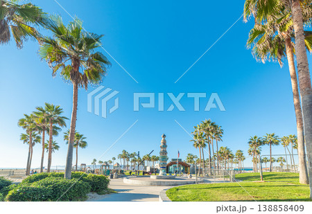 Palm trees in Venice Beach on a sunny day 138858409