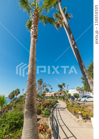 Walkpath by the sea in Laguna Beach Walkpath by the sea in Laguna Beach 138858505