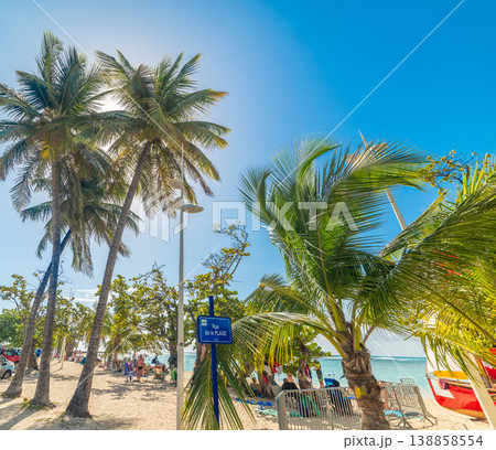 Coconut palm trees under a blue sky in Rue de la Plage in Guadeloupe Coconut palm trees under a blue sky in Rue de la Plage in Guadeloupe 138858554