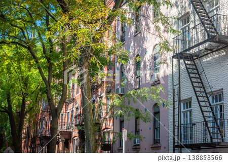 Green trees in world famous Greenwich Village Green trees in world famous Greenwich Village 138858566