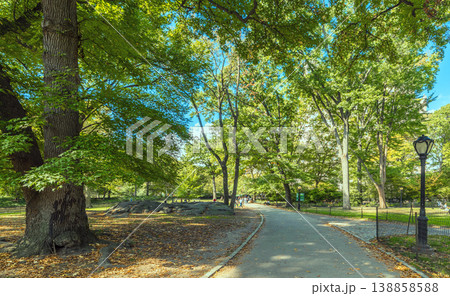 Walkpath in famous Central Park in autumn Walkpath in famous Central Park in autumn 138858588