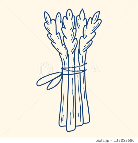 Asparagus pods hand drawn blue ink clip art illustration 138858686