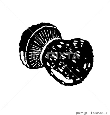 ポルチーニ茸（単体・斜め・裏側）のモノクロ手描きイラスト素材 138858694