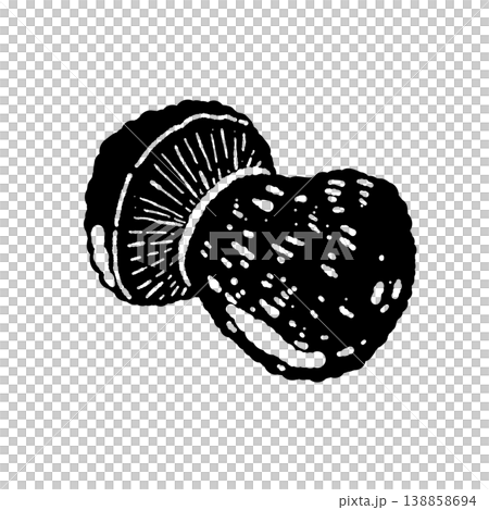 ポルチーニ茸（単体・斜め・裏側）のモノクロ手描きイラスト素材 138858694