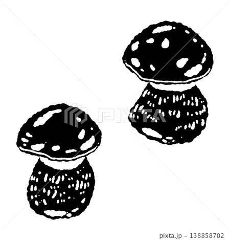 2本のポルチーニ茸(ペア)のモノクロ手描きイラスト素材 2本のポルチーニ茸(ペア)のモノクロ手描きイラスト素材 138858702