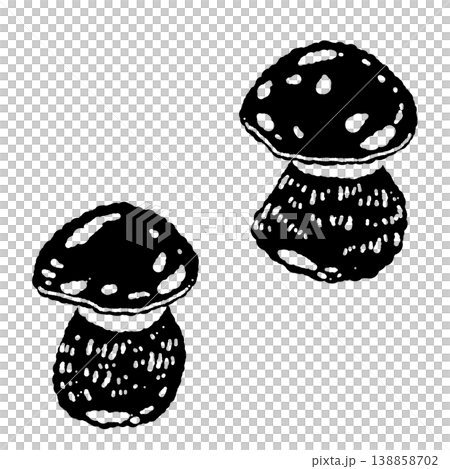 2本のポルチーニ茸(ペア)のモノクロ手描きイラスト素材 2本のポルチーニ茸(ペア)のモノクロ手描きイラスト素材 138858702