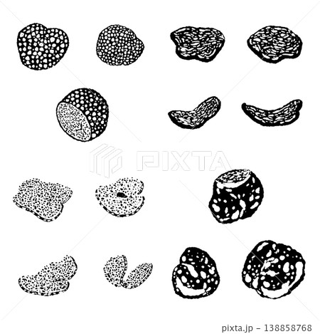 トリュフのバリエーションセットのモノクロ手描きイラスト素材 138858768