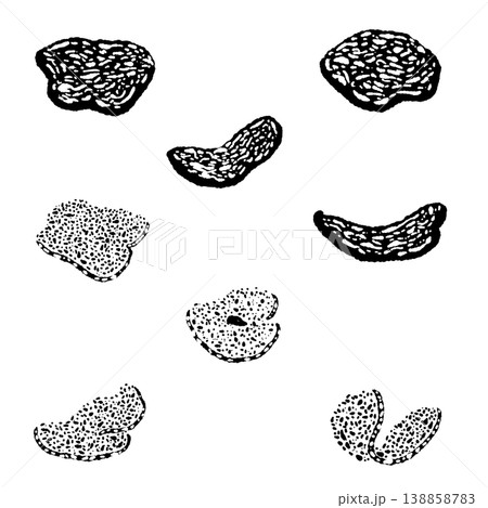 スライス白トリュフ（散らし配置）のモノクロ手描きイラスト素材 138858783