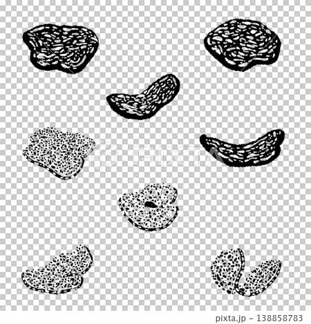 スライス白トリュフ（散らし配置）のモノクロ手描きイラスト素材 138858783