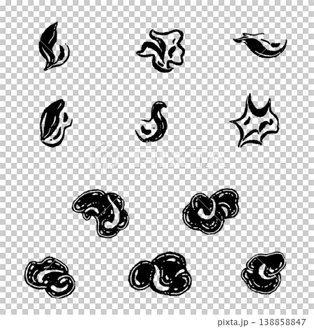 キクラゲのバリエーションセットのモノクロ手描きイラスト素材 キクラゲのバリエーションセットのモノクロ手描きイラスト素材 138858847