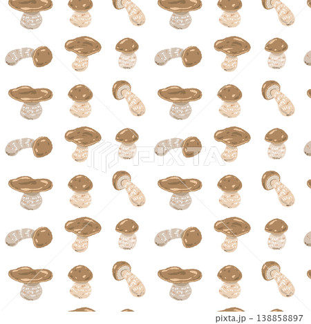 ポルチーニ茸のシームレスパターン背景イラスト(ミックス整列) ポルチーニ茸のシームレスパターン背景イラスト(ミックス整列) 138858897