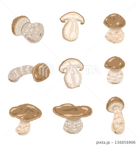 ポルチーニ茸のバリエーションセットの手描きイラスト素材 138858906