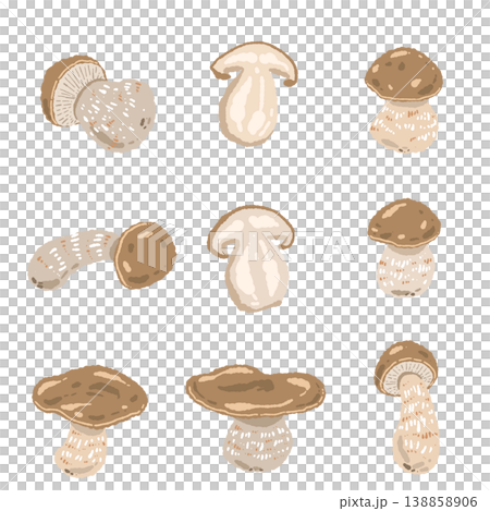 ポルチーニ茸のバリエーションセットの手描きイラスト素材 138858906