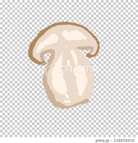 Hand-drawn illustration of porcini mushrooms (thickly sliced cross-section) 138858910