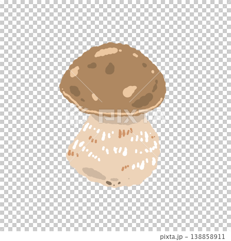 Hand-drawn illustration of a porcini mushroom (single, front view) 138858911