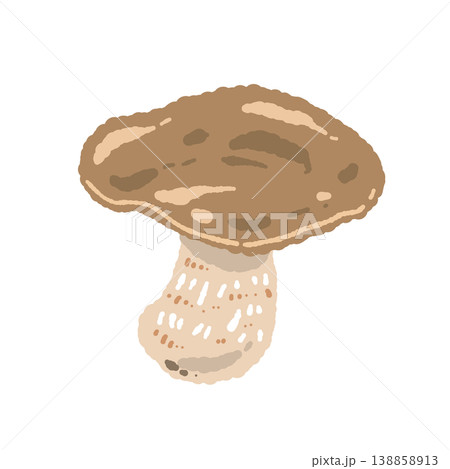 ポルチーニ茸（単体・傘開き）の手描きイラスト素材 138858913