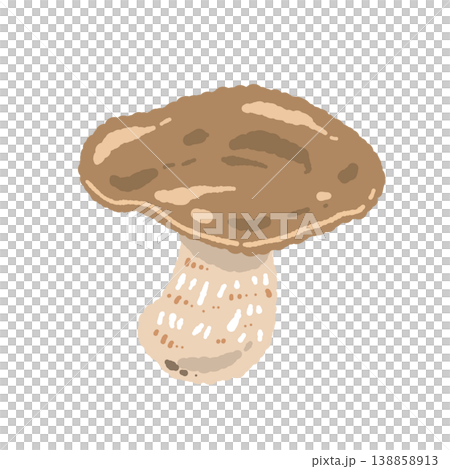 ポルチーニ茸（単体・傘開き）の手描きイラスト素材 138858913