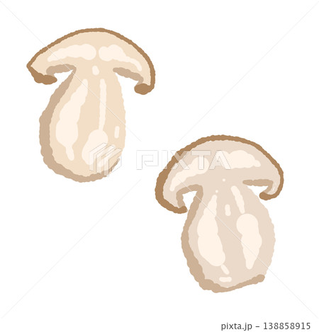 ポルチーニ茸（断面スライス・2枚）の手描きイラスト素材 138858915