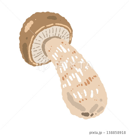 ポルチーニ茸（単体・斜め配置）の手描きイラスト素材 138858918