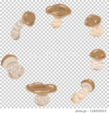 手繪插圖，圓形相框內有牛肝菌。 138858919