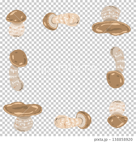 ポルチーニ茸の四角形フレームの手描きイラスト素材 138858920