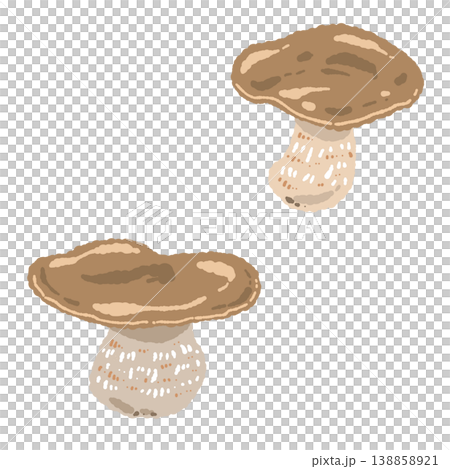 2本のポルチーニ茸(種類違いペア)の手描きイラスト素材 2本のポルチーニ茸(種類違いペア)の手描きイラスト素材 138858921