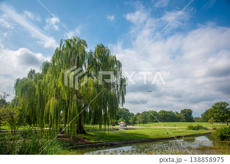 Weeping Willow in the National Mall Park with Airplane in the Background Weeping Willow in the National Mall Park with Airplane in the Background 138858975