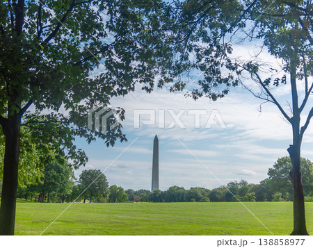 Washington Monument Framed by Trees on the National Mall in Washington DC 138858977