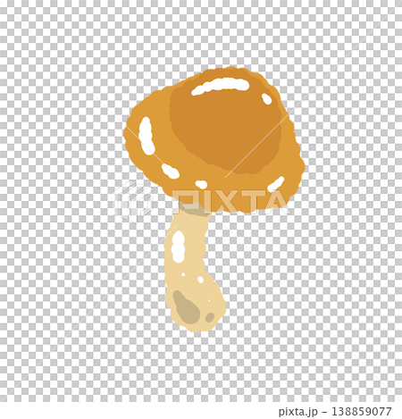 なめこ（単体・まっすぐ）の手描きイラスト素材 138859077