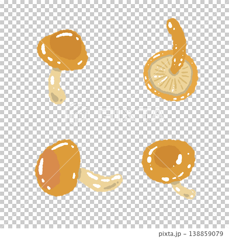 手繪滑子菇插圖（多種版本） 138859079