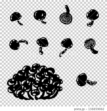 單色手繪插圖素材，描繪了滑子菇的各種形態 138859082
