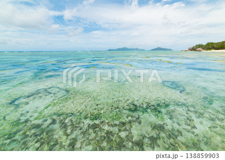 Coral Reef in world famous Anse Source d'Argent under a blue sky with clouds Coral Reef in world famous Anse Source d'Argent under a blue sky with clouds 138859903